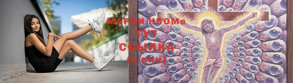 крисы Армянск