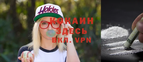 мет Арсеньев