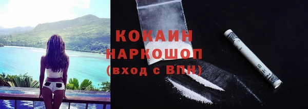 мет Арсеньев