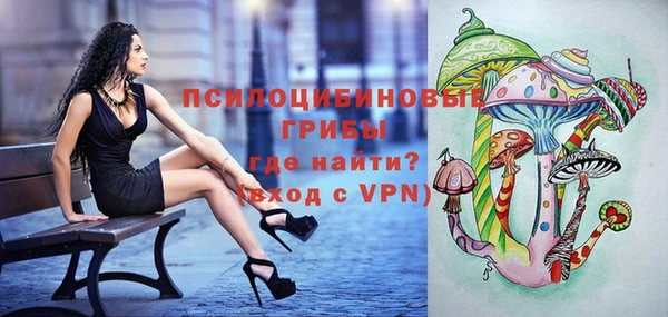 крисы Армянск