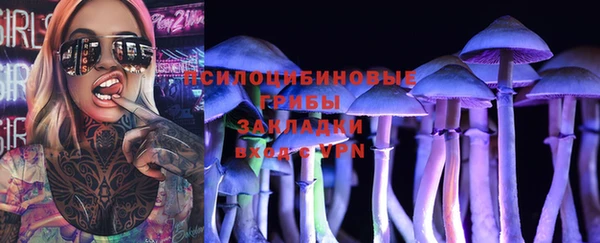 мет Арсеньев