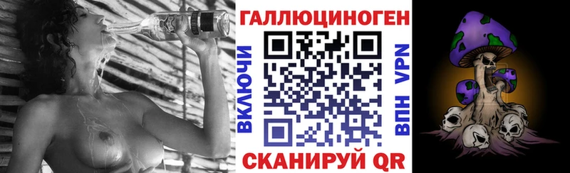 мега как зайти Городец Галлюциногенные грибы мицелий